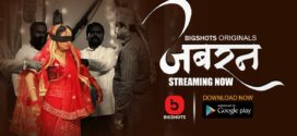 Jabran (2024) S01E01T03 BigShots Hindi Web Series WEB-DL H264 AAC 1080p 720p Download