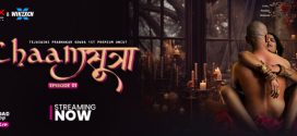 Chaam Sutra (2024) S01E01 MoodX Hindi Web Series 720p HDRip H264 AAC 500MB Download