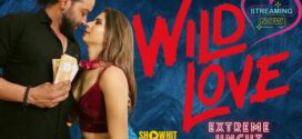 Wild Love (2024) Uncut ShowHit Originals Short Film 720p WEB-DL H264 AAC 250MB Download