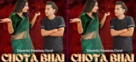 Chota Bhai Ka Mota (2024) S01E02 Gulab Hindi Web Series 720p HDRip H264 AAC 300MB Download